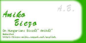 aniko biczo business card